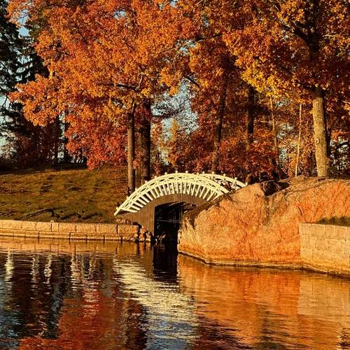 Photo #12730208