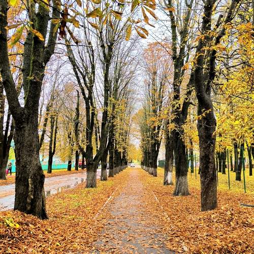 Photo #12730242
