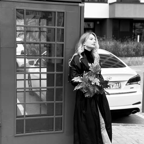 Photo #12730466