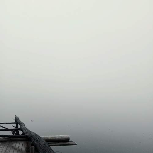 Photo #12730467