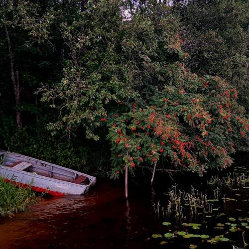 Photo #12730531