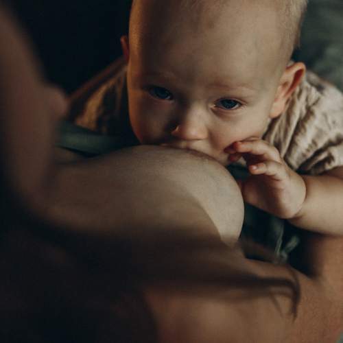 Фотография #12730749