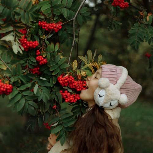 Photo #12731149