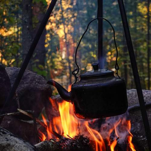 Photo #12731215