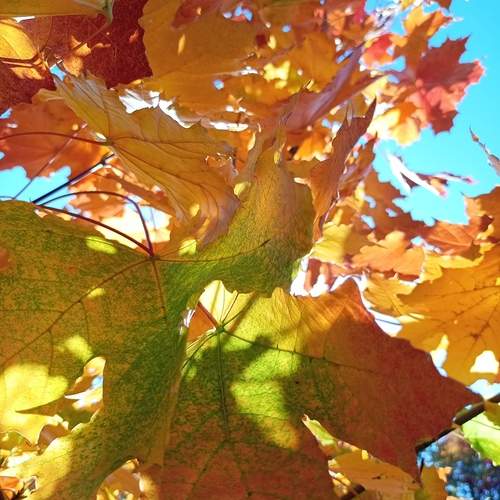 Photo #12731524