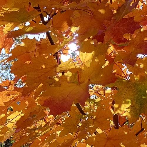 Photo #12731526