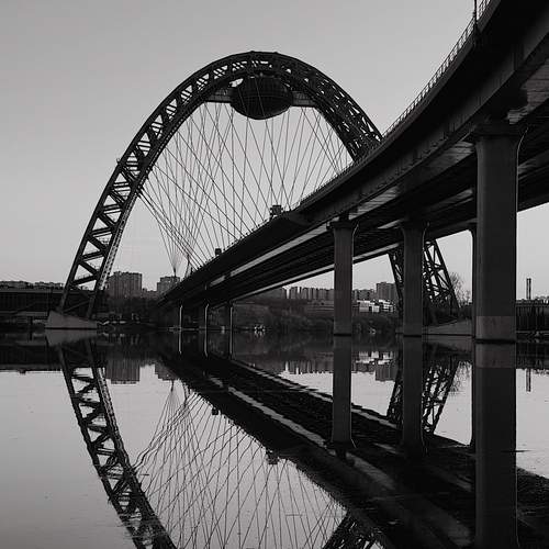 Photo #12731551
