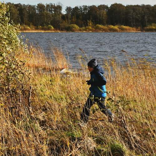 Photo #12731667