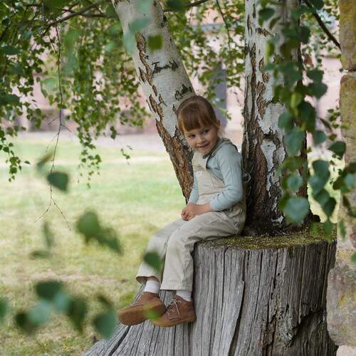 Photo #12731784
