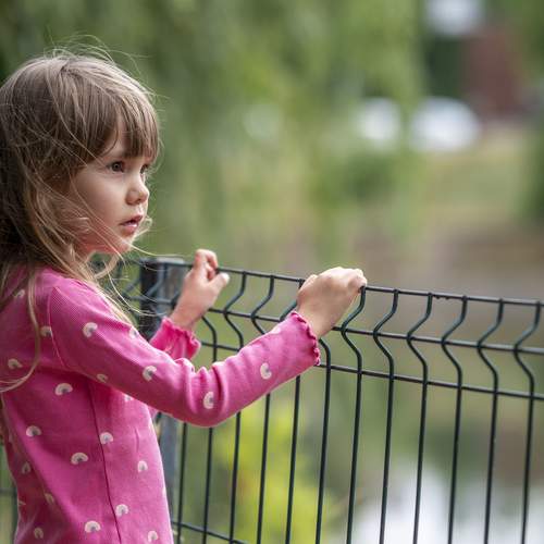 Photo #12732195