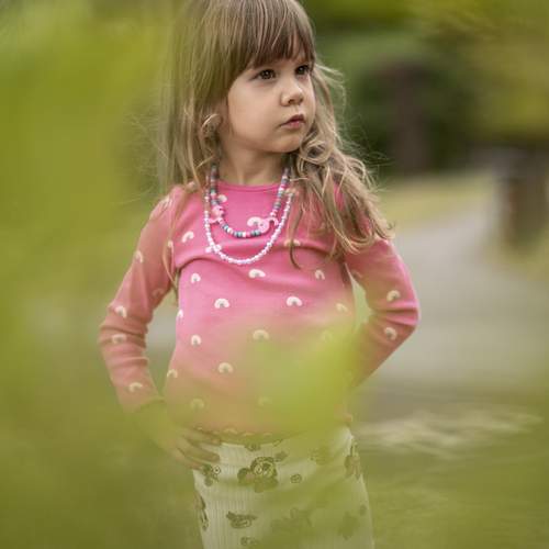 Photo #12732200