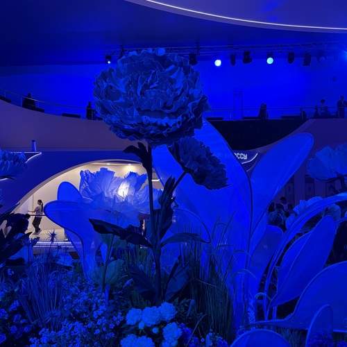 Photo #12732293