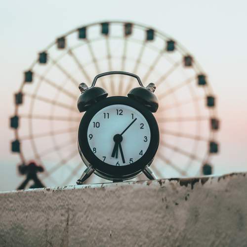 Photo #12732503
