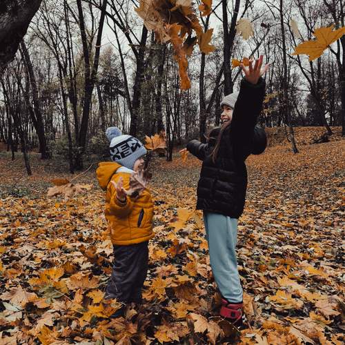 Photo #12732507