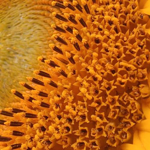 Photo #12732509