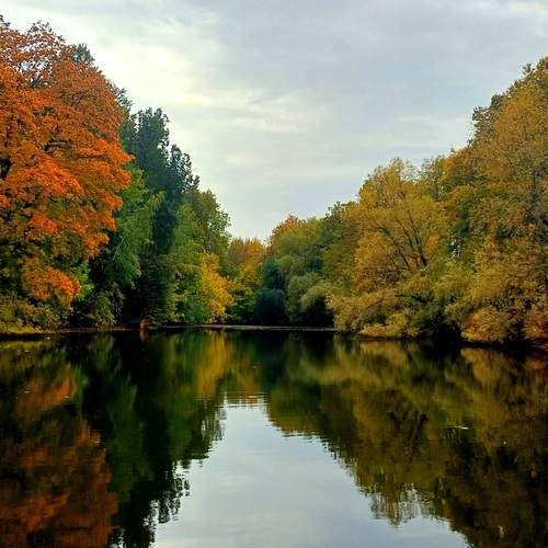 Photo #12732511