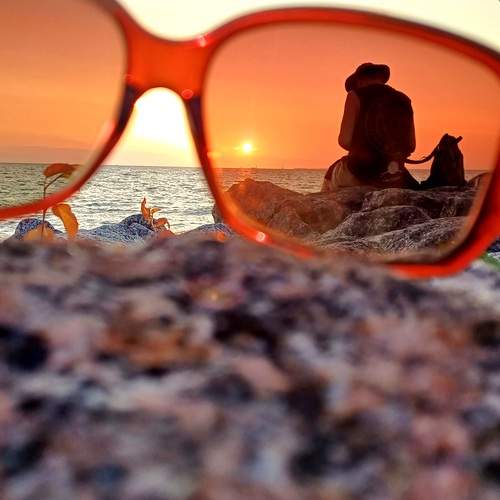 Photo #12732512