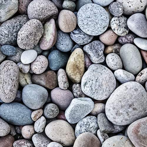 Photo #12732588