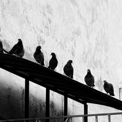 Photo #12732631