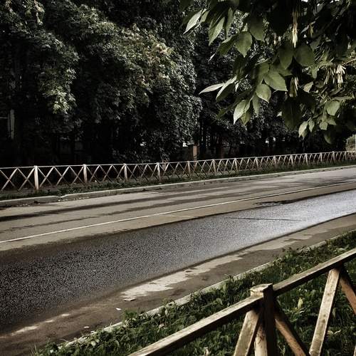 Photo #12732640