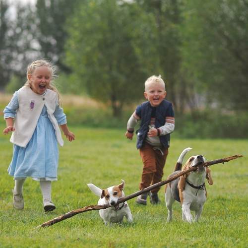 Photo #12732675