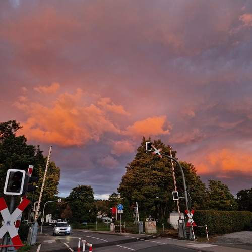 Photo #12732713