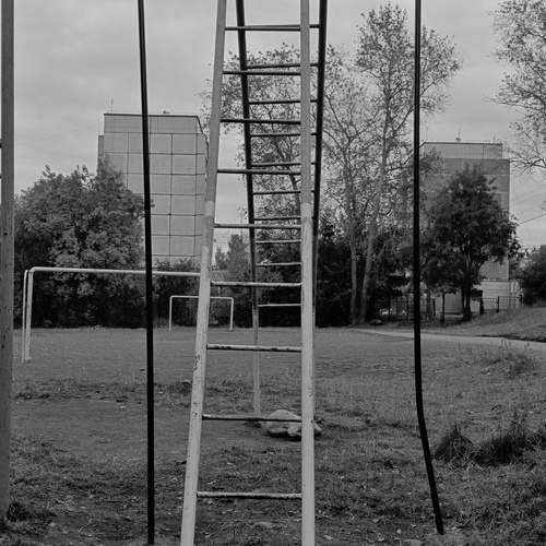 Photo #12732724