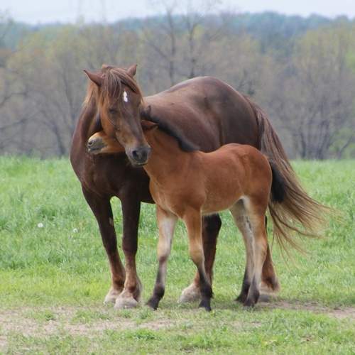 Фотография #12732933