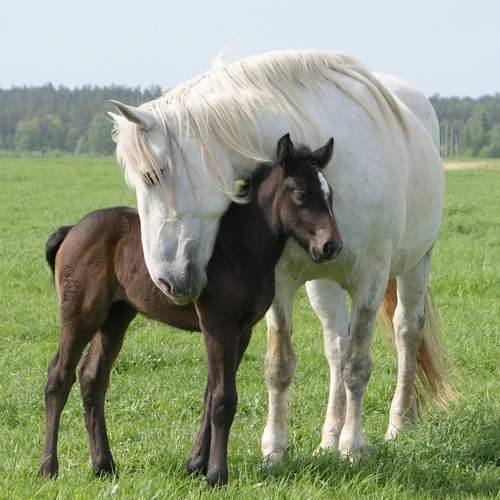 Фотография #12732938