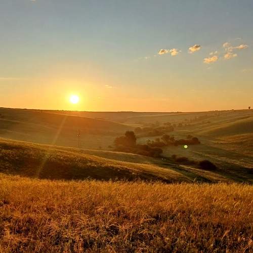 Photo #12733176
