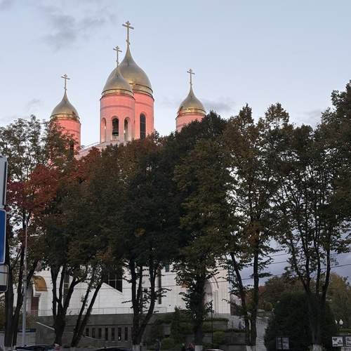 Photo #12733456