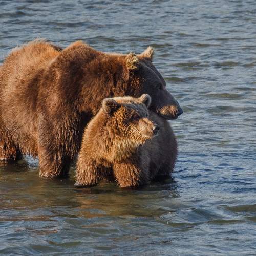 Photo #12733632