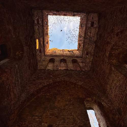 Photo #12733705