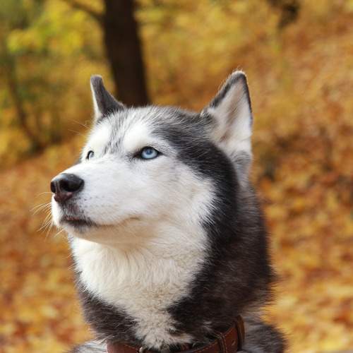 Photo #12733943