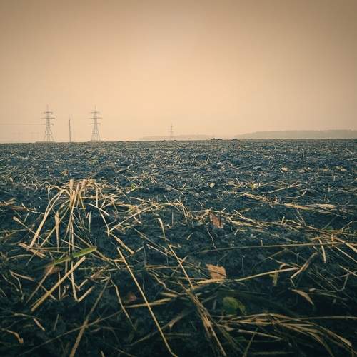 Photo #12733961