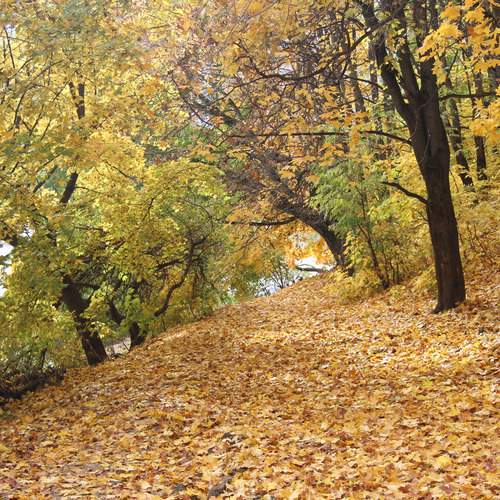 Photo #12733971