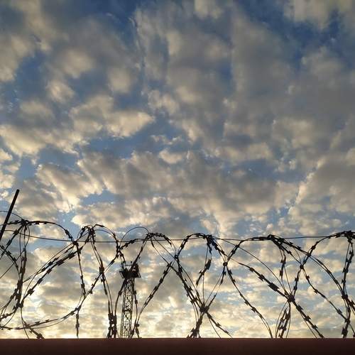 Photo #12734014