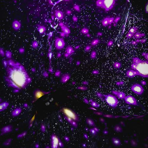Photo #12734451