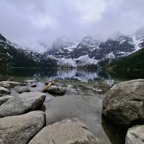 Photo #12734653