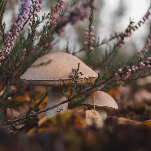 Photo #12734689