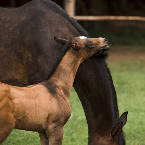 Photo #12734809