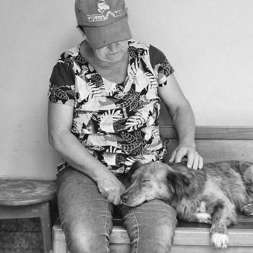 Photo #12735300