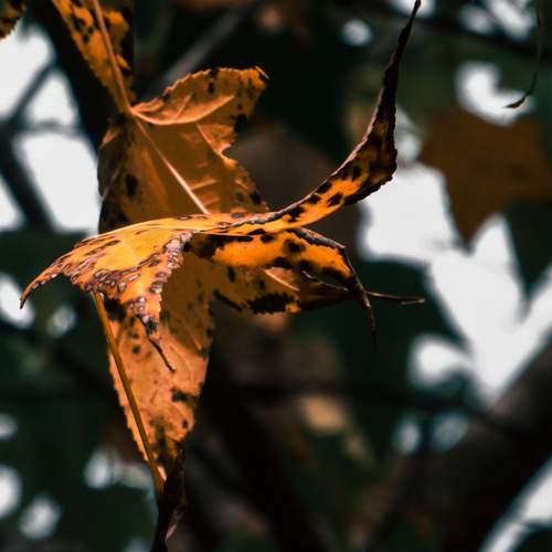 Photo #12735312