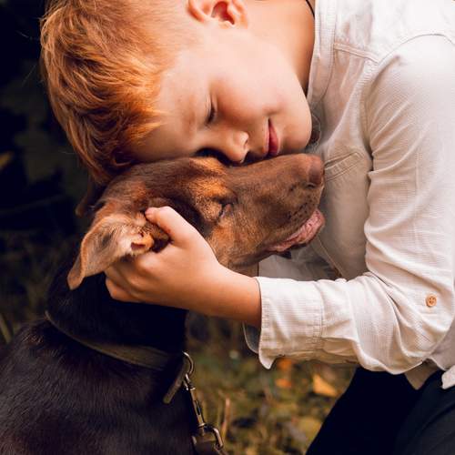 Photo #12735392