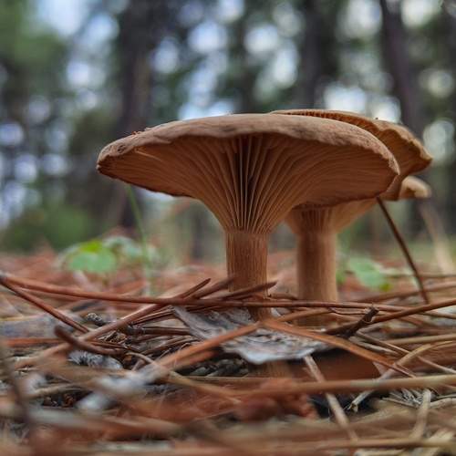 Photo #12735908