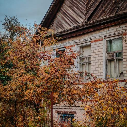 Photo #12735952