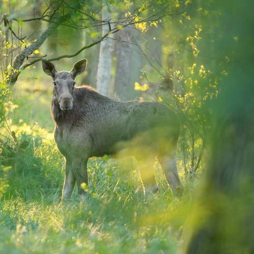 Photo #12736018