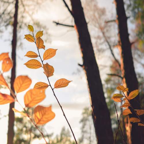 Photo #12736024
