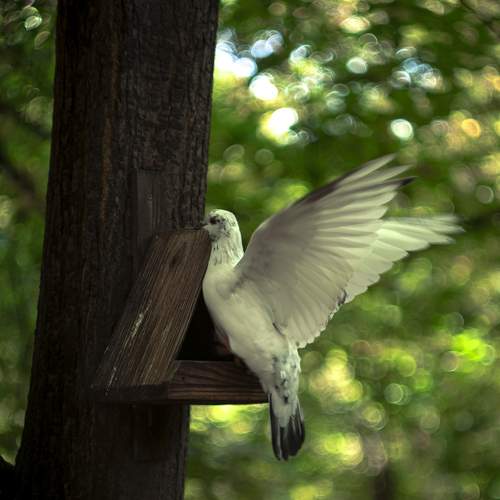 Photo #12736193