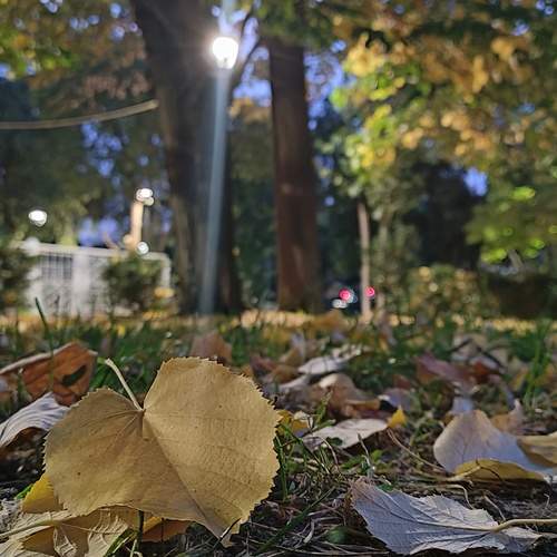 Photo #12736219
